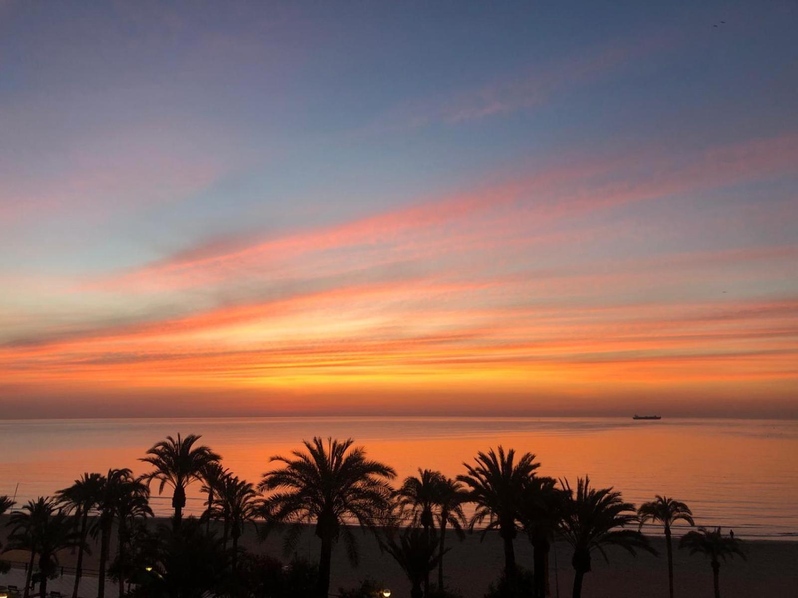 Apartamentos Bahia Alicante Bagian luar foto